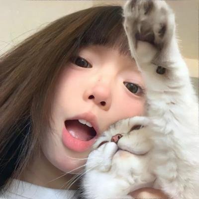 飞哥正传